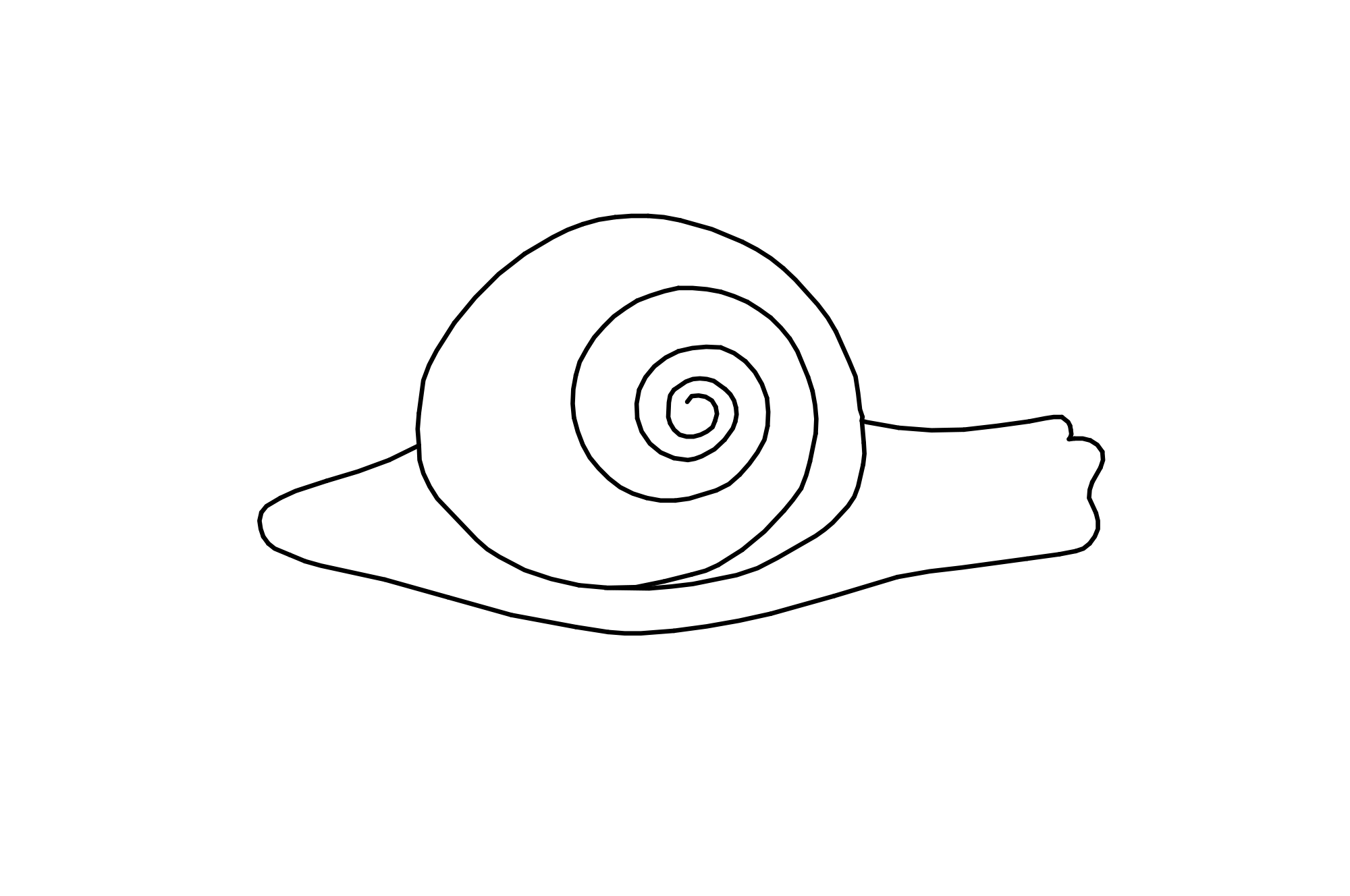 Stroking Stone Snail, colour orange