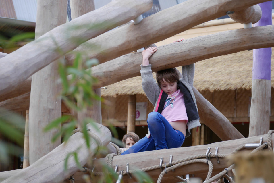 Chester Zoo Islands Play Area Slides