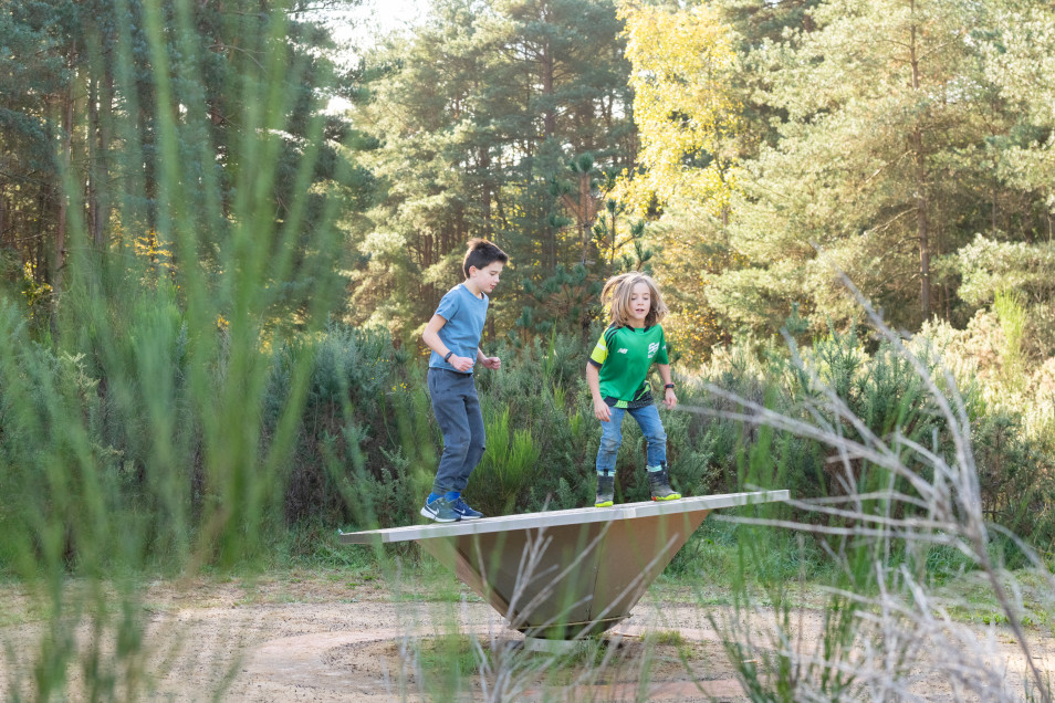 Hogmoor Inclosure Slides