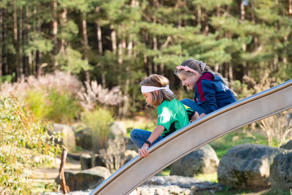 Hogmoor Inclosure Slides