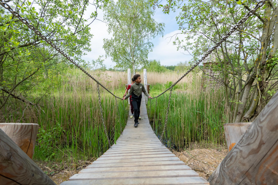 Surfacing and Complementary Aspects in Natural Playgrounds
