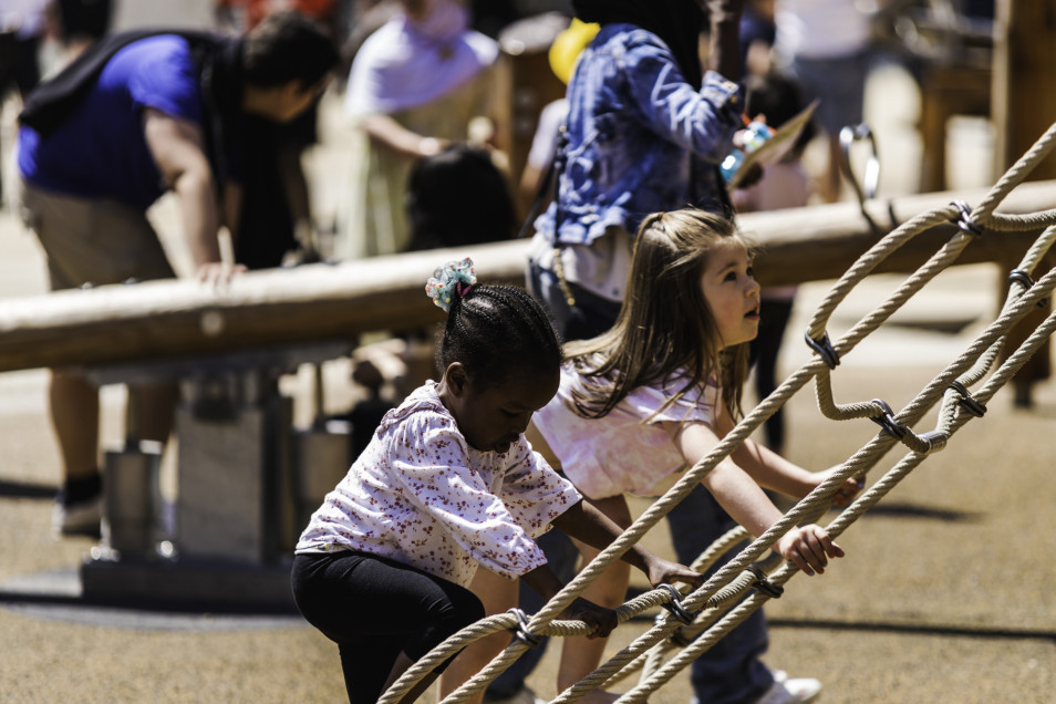 How Do Natural Playgrounds Support Children's Development?