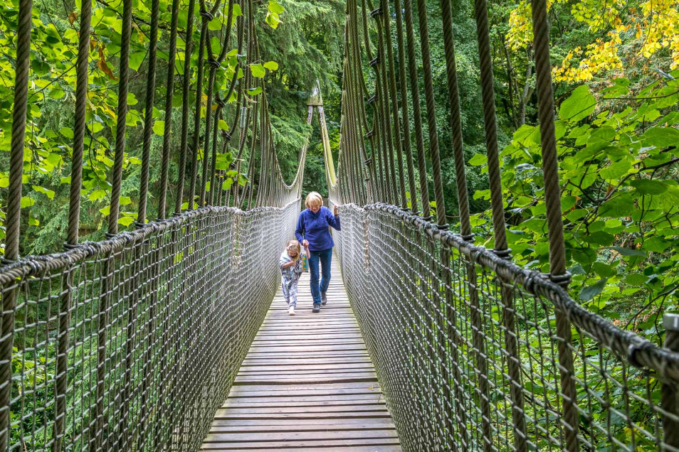 Beyond Compliance: How Timberplay is Redefining Inclusive Playground Design