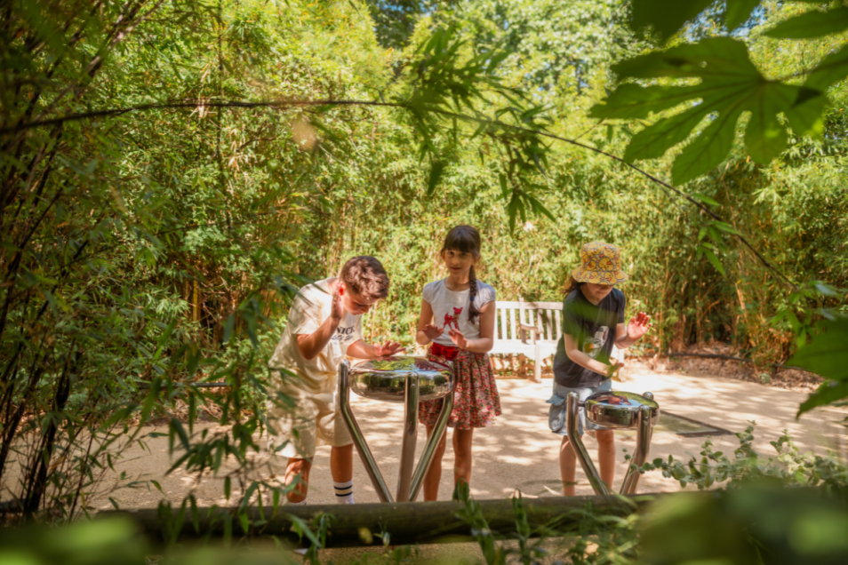 Diana, Princess of Wales Memorial Playground Reopens Following £3 Million Transformation